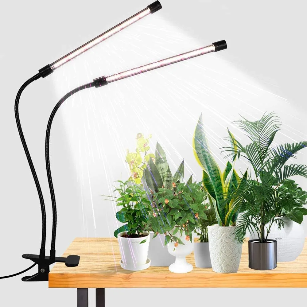 La lampe clipsée au-dessus de plants en pot