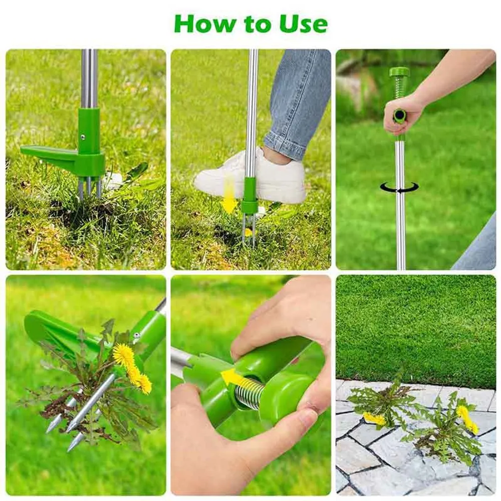 Les quatre étapes d'utilisation de l'arrache-mauvaises-herbes